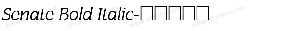 Senate Bold Italic字体转换